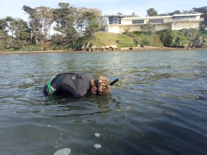 Our Field Technician, Evan, looks at eelgrass for a subtidal eelgrass survey by State Park Marina.