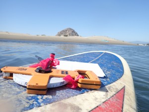 A surfboard works as the perfect desk for a day of eelgrass monitoring