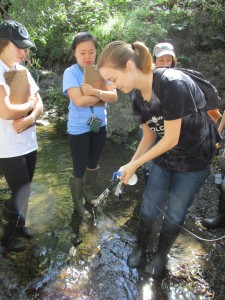 At bioassessment training, volunteers learn how to collect data on water quality such as temperature, pH and oxygen levels.