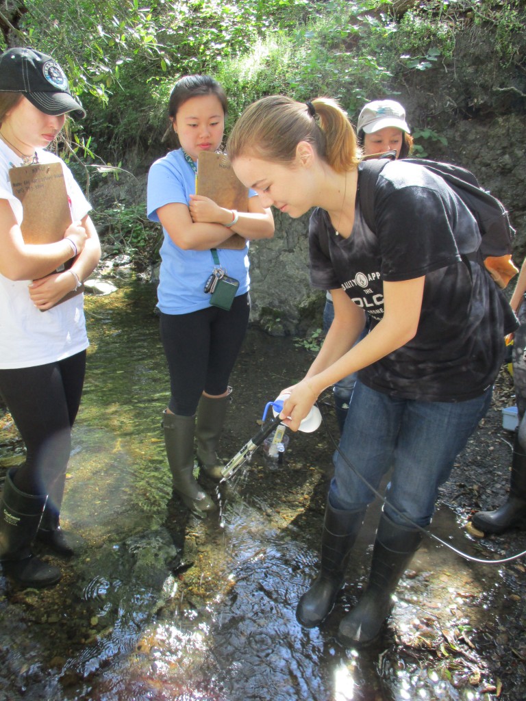 We trained volunteers in water quality monitoring to collect data such as temperature, pH and oxygen levels.