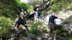 The whole crew at work, collecting habitat measurements.