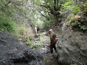 One of the fun things about bioassessment monitoring is getting to see far-flung parts of the watershed, like this stretch of upper Pennington Creek.