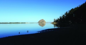 We'll help keep beautiful Windy Cove, pictured above, and the Morro Bay State Park Marina clean.