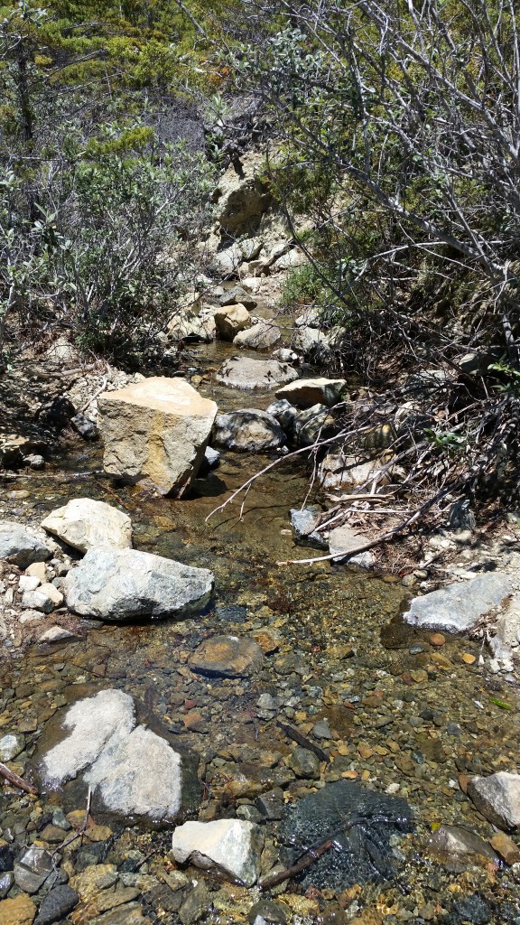 A beautiful view of Chorro Creek.