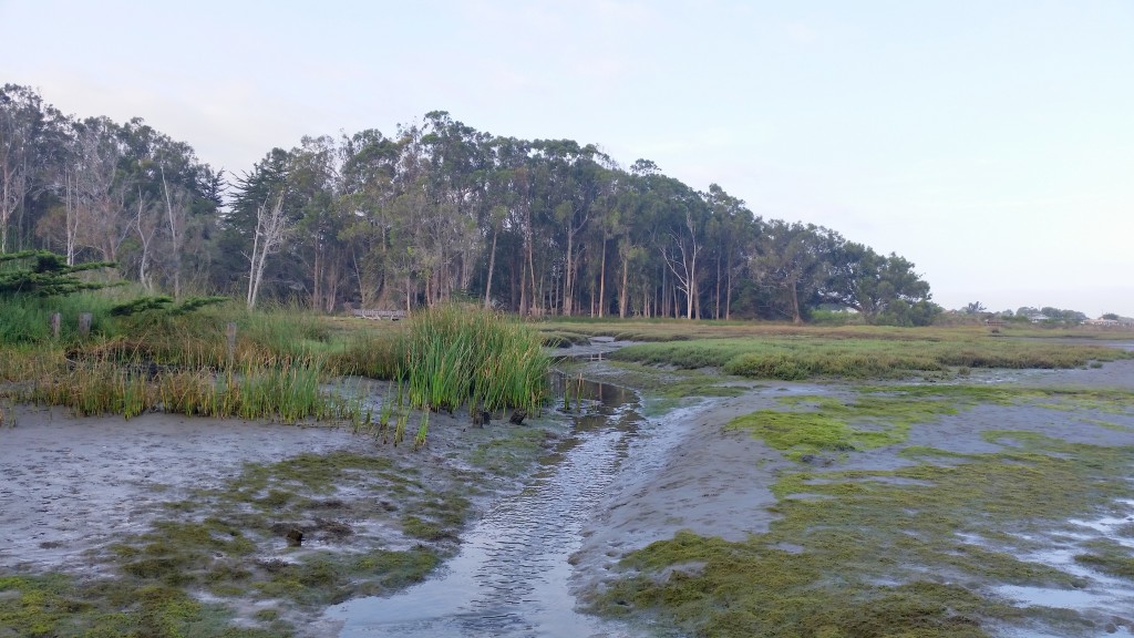 20150902_SSO_2 Here is a different view of Sweet Springs than you might be used to seeing.