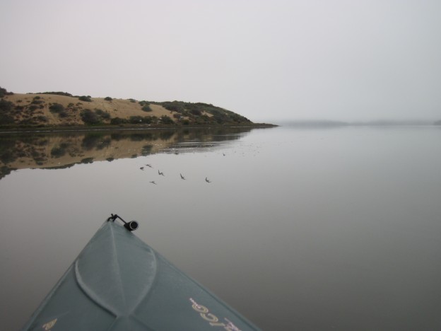 They got a calm, glassy morning for monitoring. 