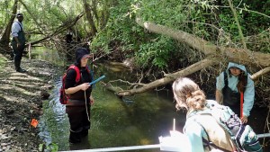 Bioassessment volunteers monitoring lower Chorro Creek. Measurements such as water depth and tree cover indicate whether the creek can support macros and sensitive aquatic life.
