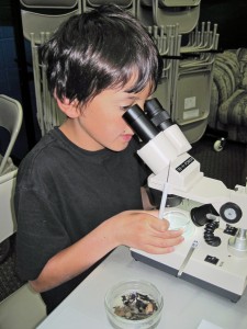 The Morro Bay Natural History Museum docent-led macro program provides a hands-on opportunity to learn more about what’s living in our waters.