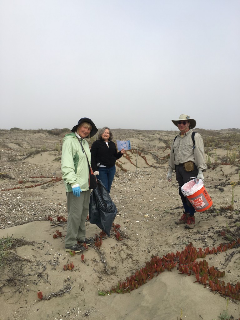 Volunteers expertly patrol the dunes, bags, bucket, and data sheet in hand.