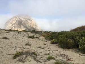 Morro Rock peeks out from behind a dune.
