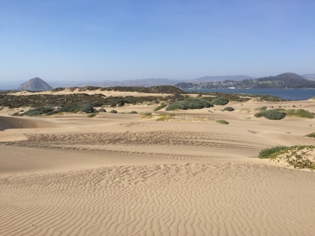 A view of Morro Rock over a long stretch of dunes on the sandspit.
