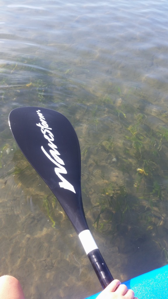 Paddling past an eelgrass bed.