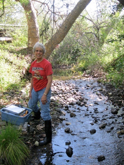 While pressure transducers and other automated equipment collect important data, much of our long-term dataset is collected by hand. Volunteers measure water quality each month by going out to creek or bay sites with equipment in hand. They take note of things like water temperature, dissolved oxygen content, and other measures that indicate creek health.