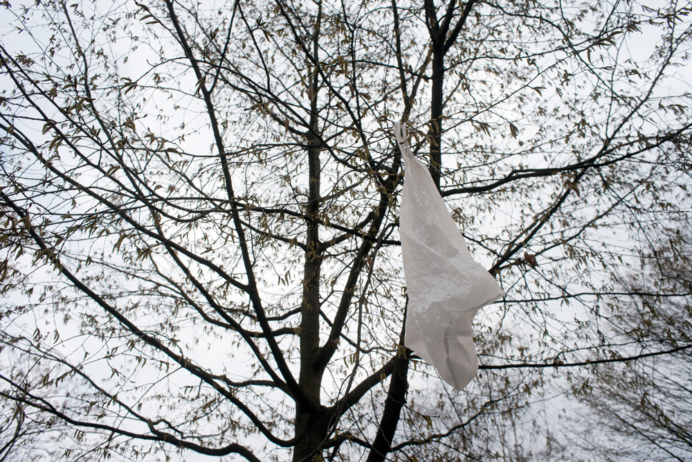 Single-use plastic bags are lightweight and can easily blow out of the trash or your car trunk into a tree or storm drain, and eventually end up in our waterways.