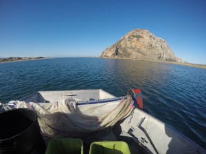 The front bay by the mouth of the estuary was one of the sites we helped trawl.