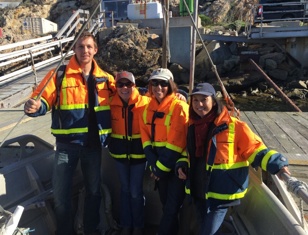 Estuary Program staff members took a tour of Diablo Cove with John Lindsey of PG&E.
