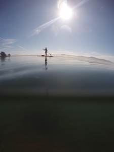 Monitoring eelgrass by paddleboard can be a tough job. It’s easier when the water is beautifully glassy. This picture, taken with a GoPro, captures the view both above and below the waterline.