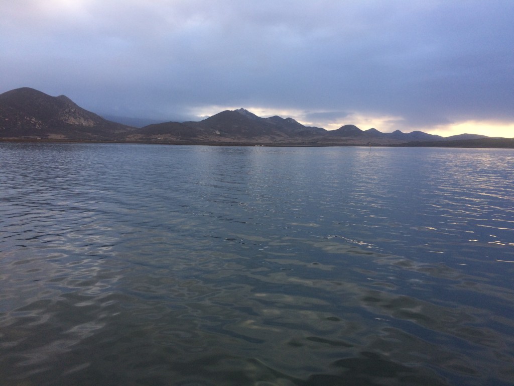 A staff member captured first light playing on small ripples in the bay during a dawn patrol paddle.