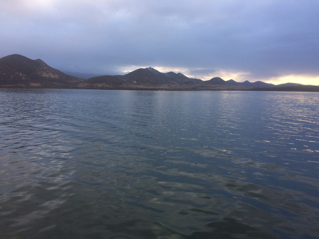 A staff member captured first light playing on small ripples in the bay during a dawn patrol paddle. 