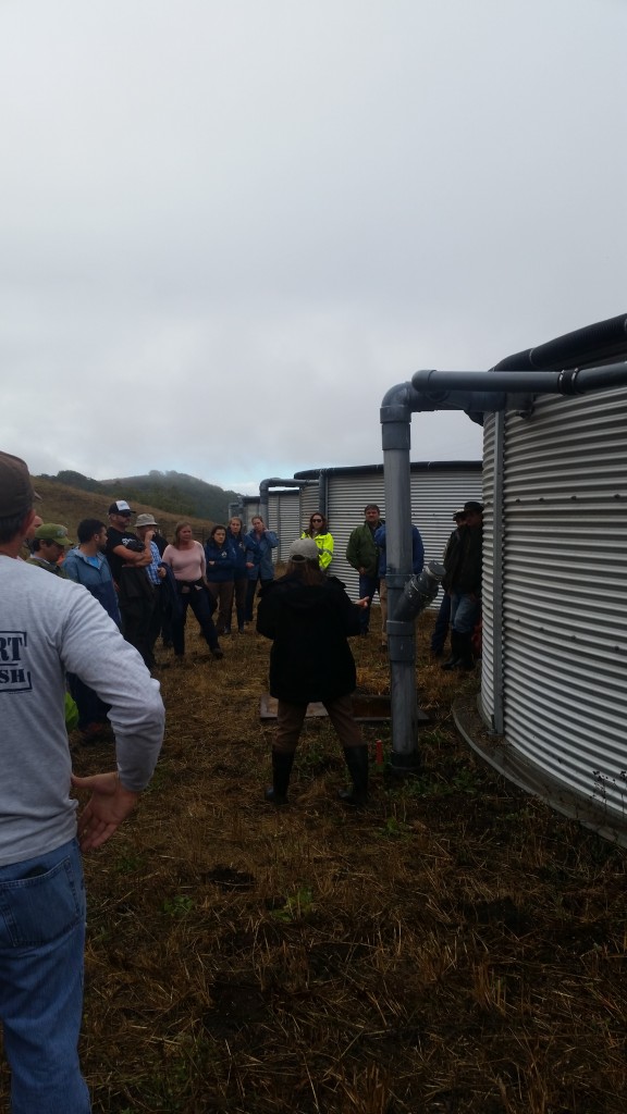 Meredith Hardy from the California Conservation Corps explains how the rainwater tanks Creek capture water from the roofs and fill into tanks. During an average rain year, these tanks can store 280,000 gallons of water which will be used to water cattle during dry months. 