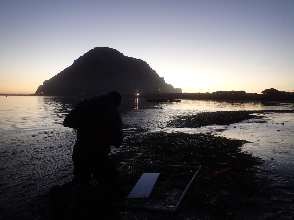 OLYMPUS DIGITAL CAMERA - Morro Bay National Estuary Program