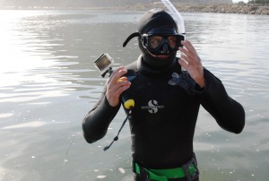 The cold water in Morro Bay means we need to wear thick, 7mm dive suits to keep us warm. These suits keep us nice and toasty, but they are very buoyant. For these subtidal surveys we need to be able to dive to the bottom to count eelgrass, so we wear dive belts to help us stay down in the water. Here, Evan finishes putting on his gear and starts surveying.