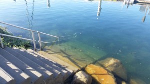 This staircase at Tidelands Park was submerged under 2015’s King Tides.