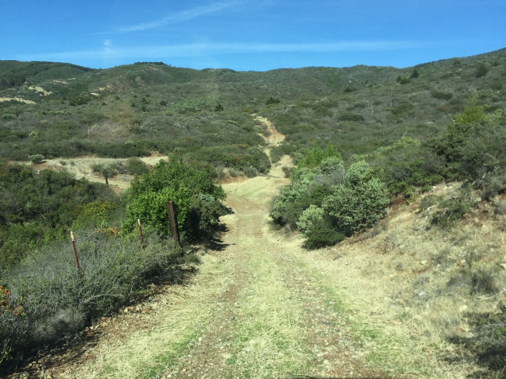 We put rolling dips along this section of the road to improve road drainage. This helps  redirect runoff during storms, making it more difficult for water from the road to drain off into the stream, which helps lower the amount of sediment that enters streams and flows to the bay.