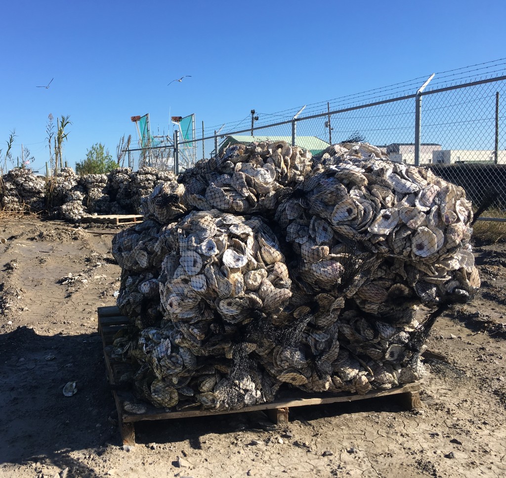 This stack of recycled oyster shell bags is ready to go into a new artificial reef.
