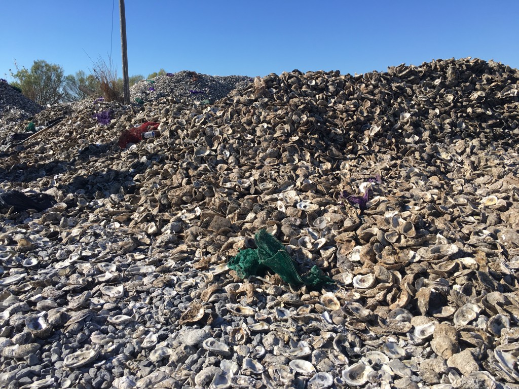 Volunteers pick out any trash that comes with the recycled shells—most often oyster bags and an assortment of cocktail forks—when they stuff shells into new bags for the artificial reef.