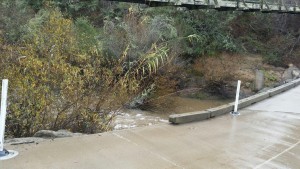 Here's another view of Chorro Creek at Canet Road.