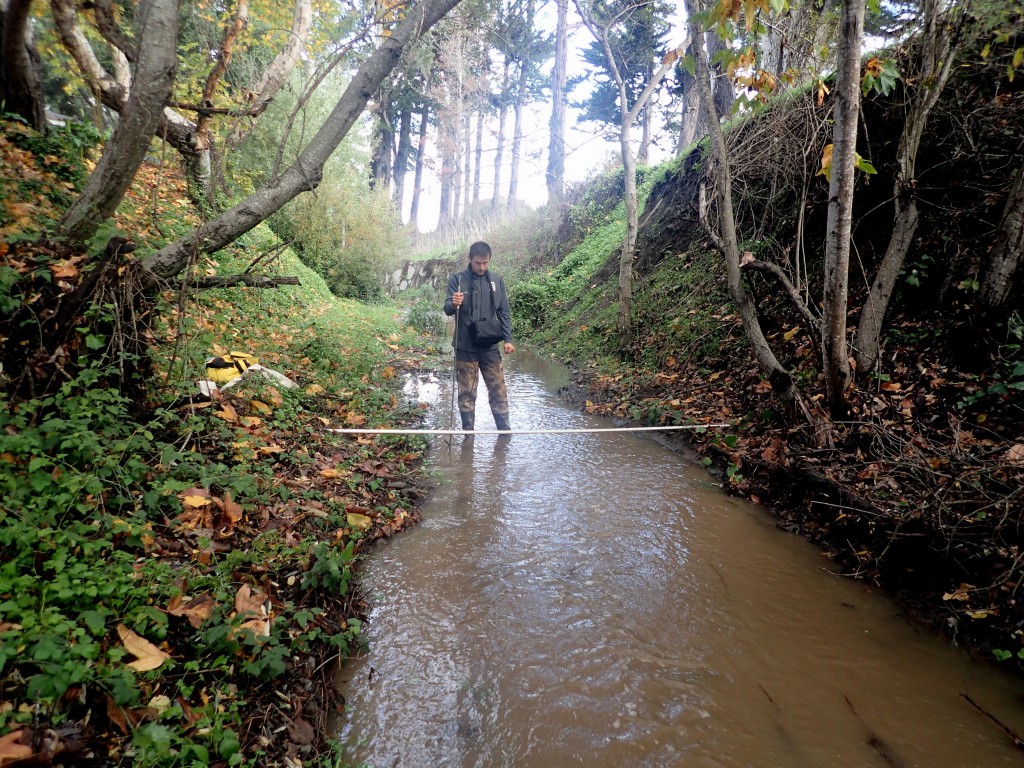 Though it didn’t stay flowing for long, we were able to get out and monitor Los Osos Creek at Los Osos Valley Road. 