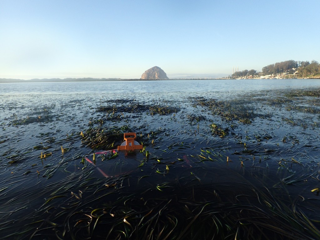 Morro rock quadrat