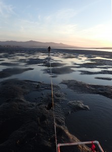 We were excited to find some patches of eelgrass popping up across from the State Park Marina. We had to race to collect data on these patches before the sun went down.