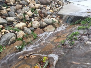 Stormwater runs down the gutter along Upper State Park Road in Morro Bay.