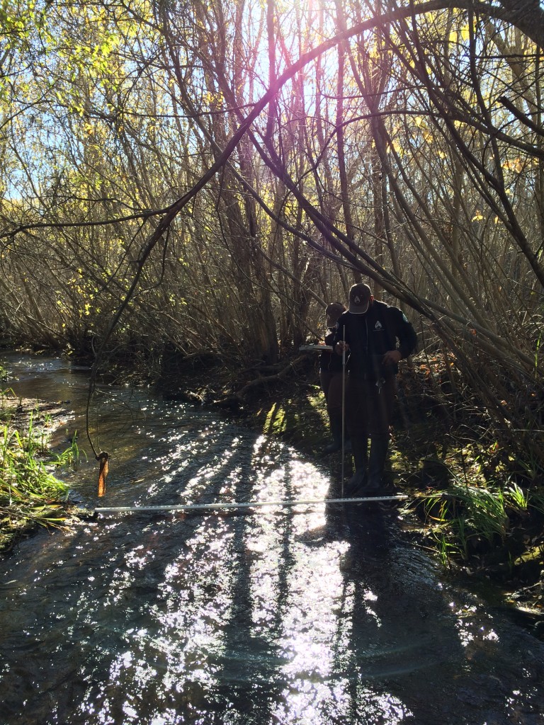 Here Khaalid and Lauren measure flow on Chorro Creek near South Bay Boulevard.  