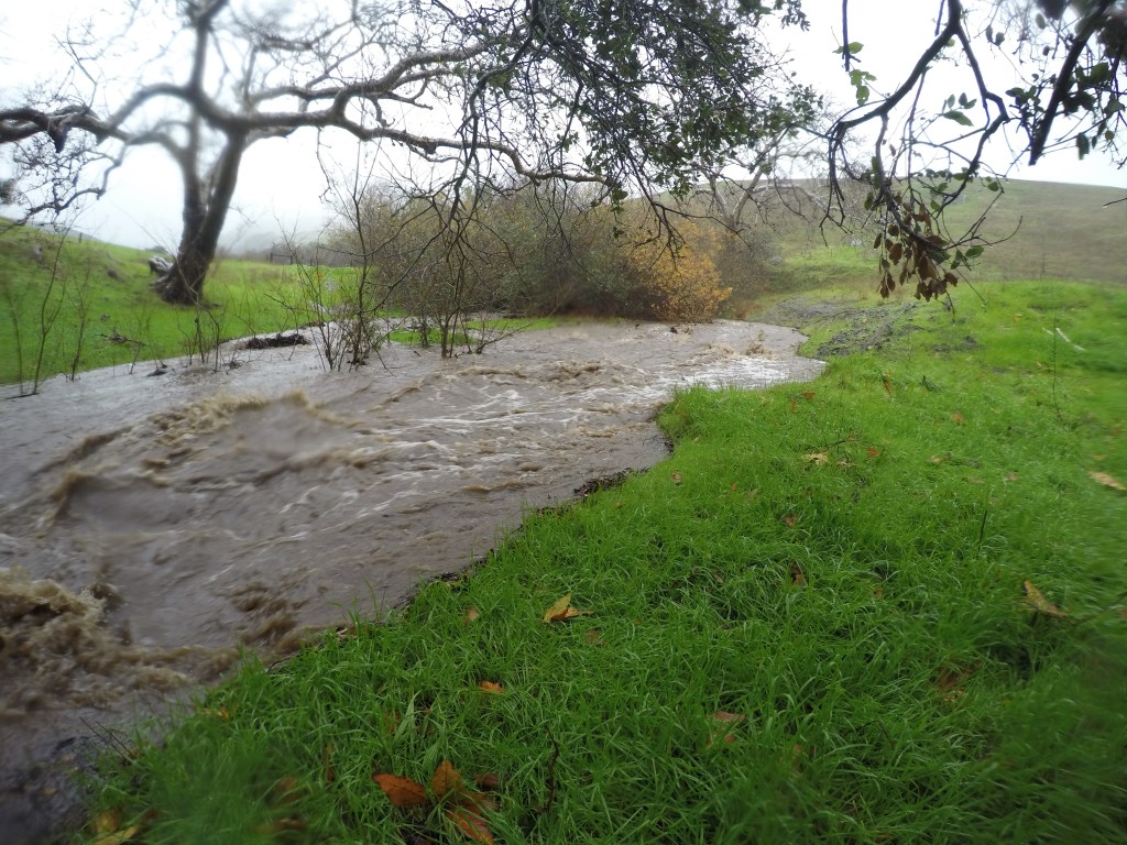 This portion of Pennington Creek was dry just 5 months ago!