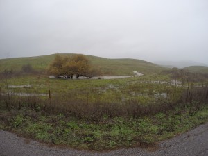 Chumash Creek flows into Pennington Creek.