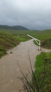 This is Walters Creek at around noon on January 22, 2017 after 10” of rain.