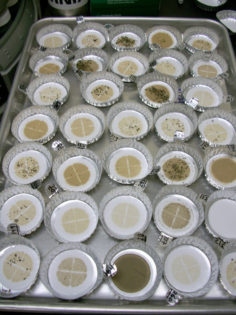 We dry the filters in the oven to remove all the water. We’re left with the sediment from our samples. 