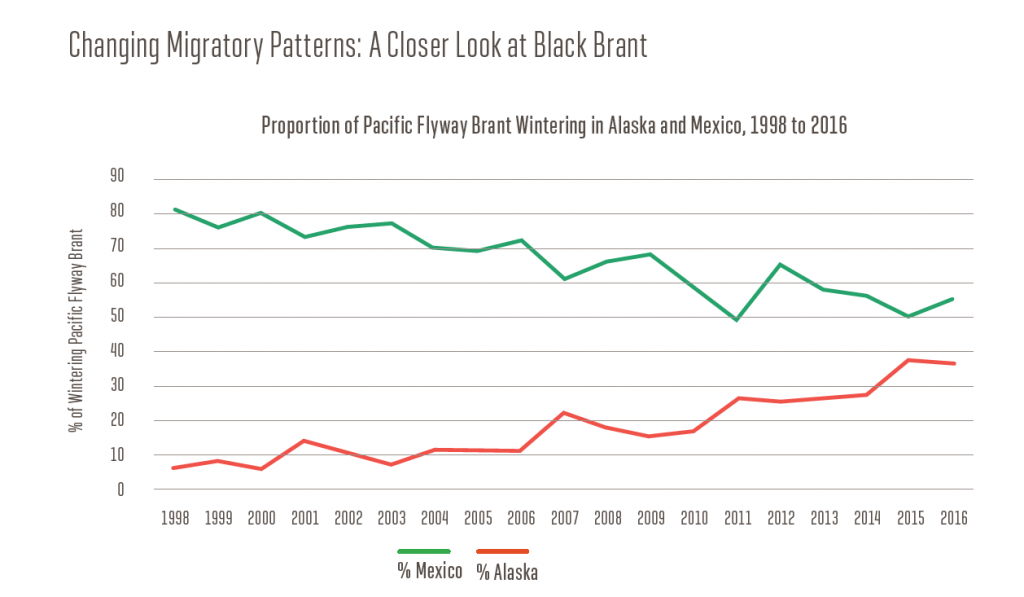 Brant line graph