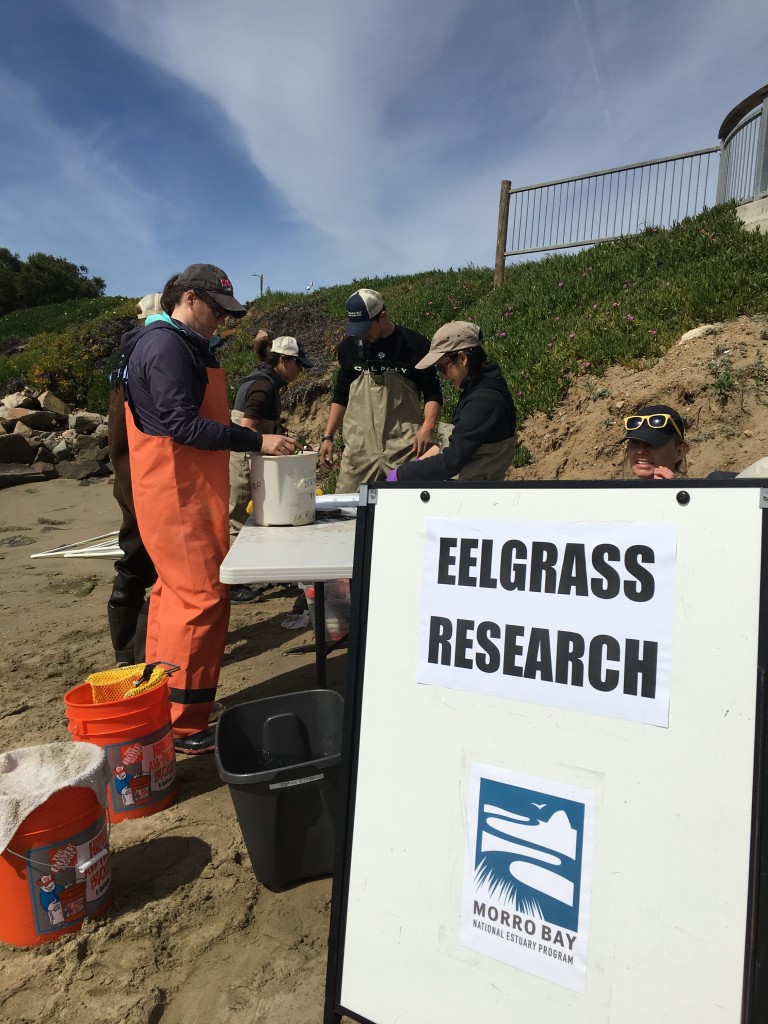 Staff and partners prepare our research station.