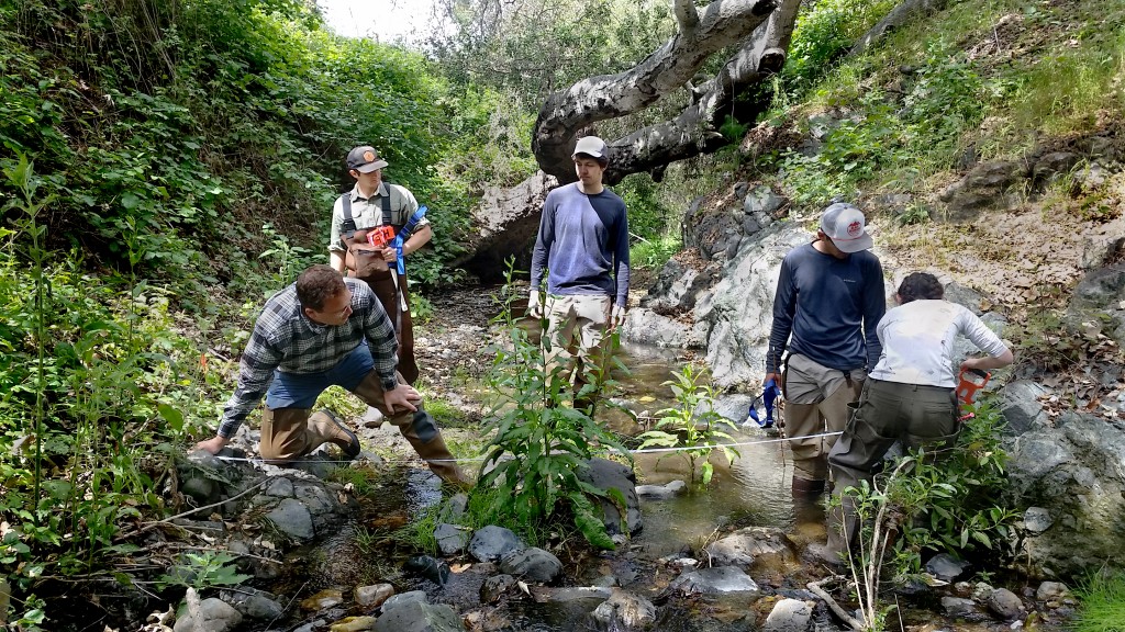 Volunteers monitor habitat conditions on a local creek during our annual bioassessment monitoring survey training.