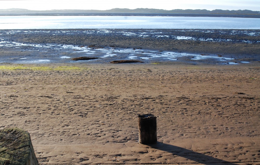 Mud flats at Windy Cove during a very low tide.