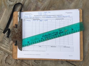 Dennis’ data sheet. Once Dennis fills out the information, he submits the data to the SSWS monitoring program’s database.