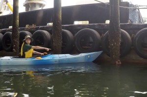 We found a large, healthy ochre star attached to a piling underneath the south T-pier in Morro Bay.