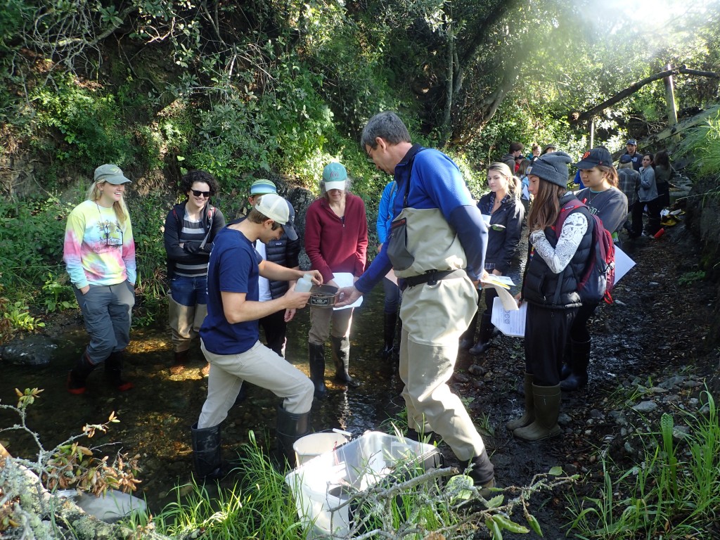 After collecting the bugs we rinse the sample to remove silt and rocks