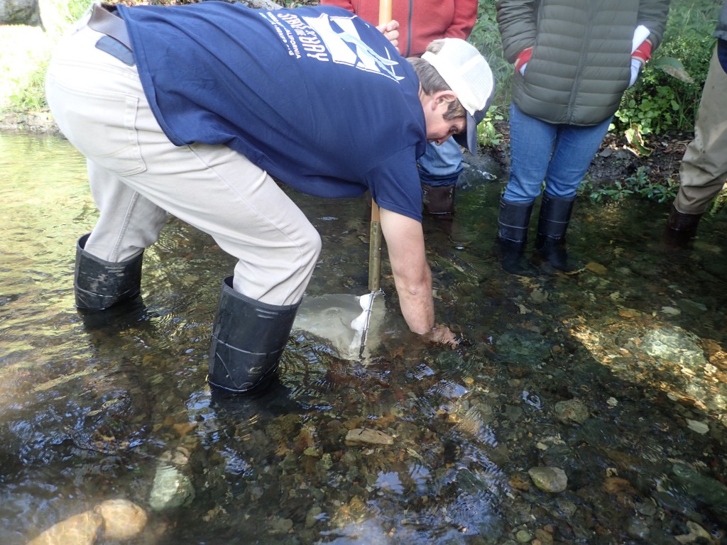  Field Technician Evan demonstrates how to collect bug samples using our net.