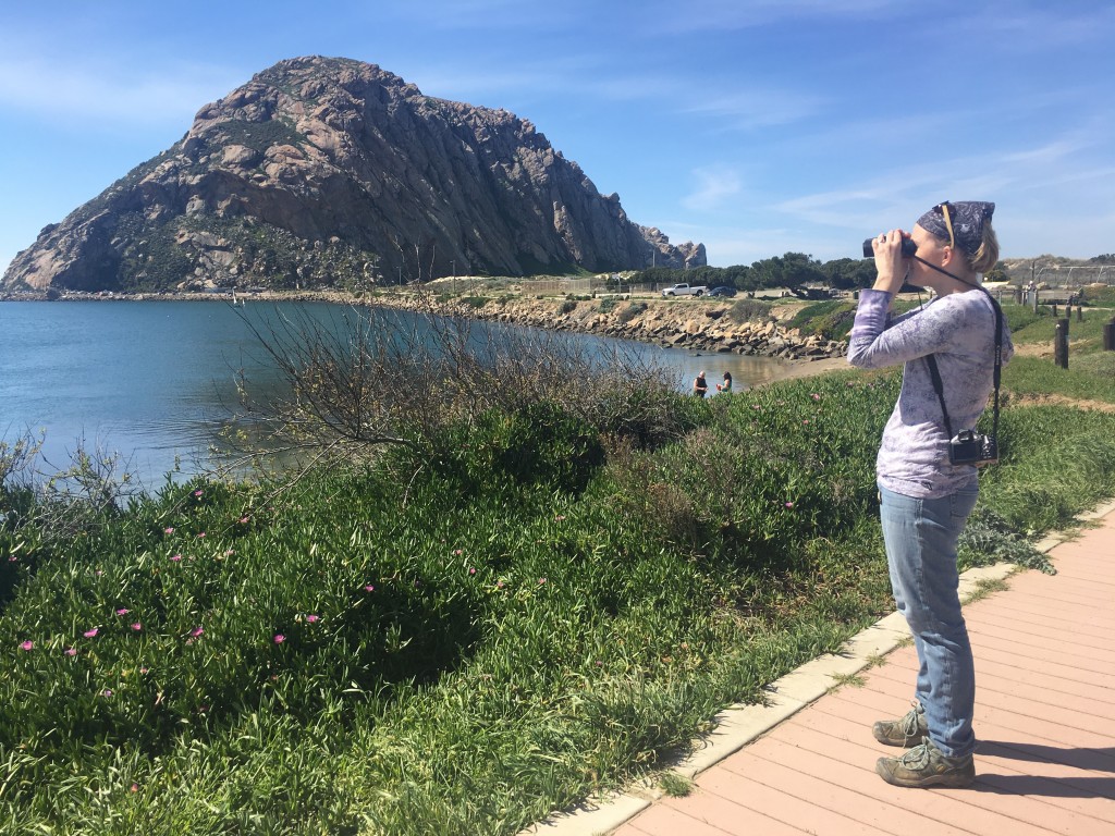 Shannon Riggs, Director of Animal Care, looks for an appropriate release spot for the pelican. 