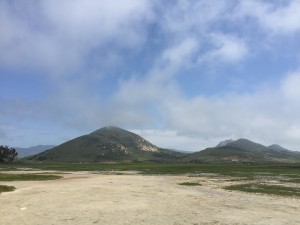View from the Marina Peninsula Trail in Morro Bay State Park.